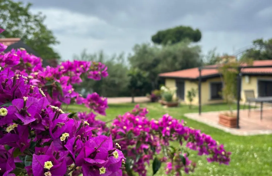 B&B Ai Glicini - Castelli Romani-1